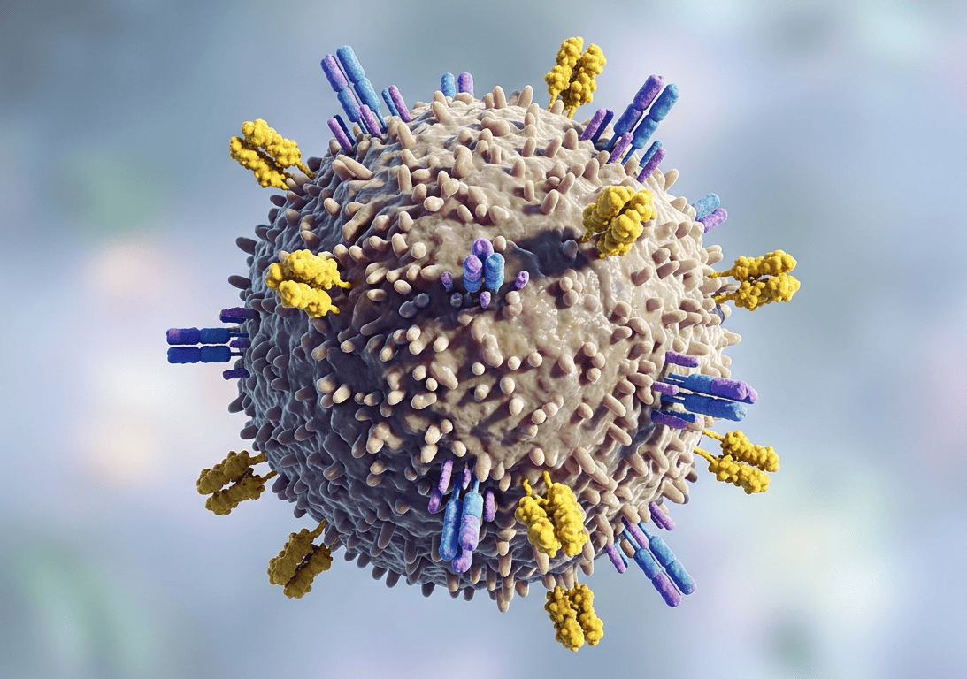 Microscopic image of helper T cells
