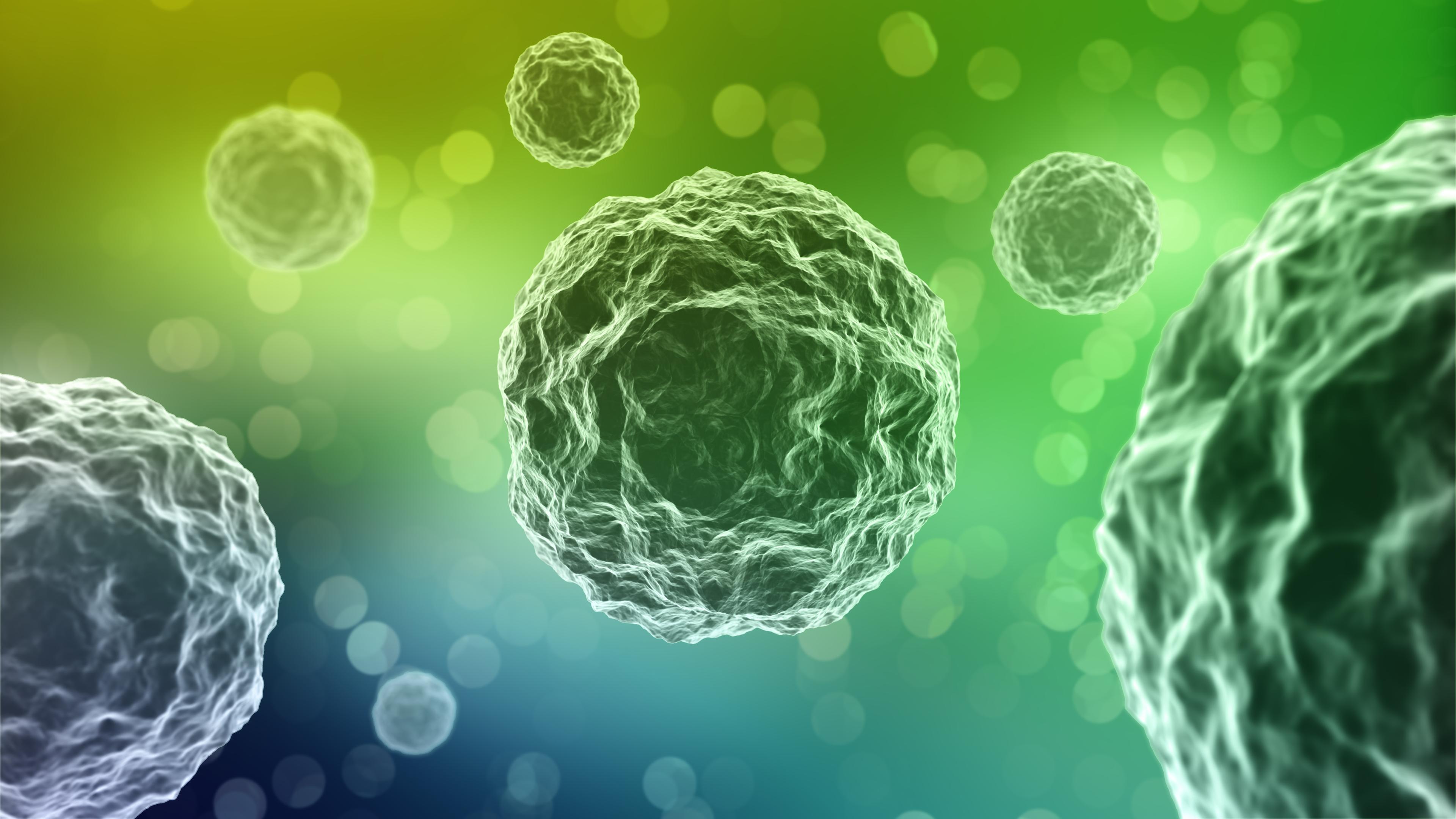Microscopic cell imaging